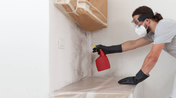 Professional Crawl Space Mold Removal technician working in Cordova, NC